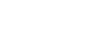 HS Motor AS logo